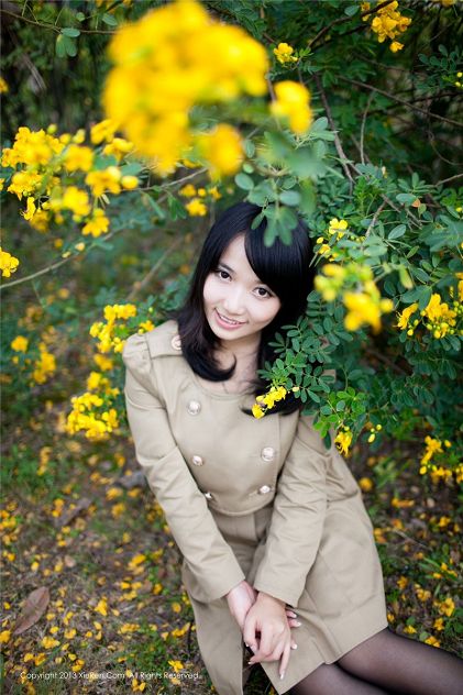 花飞满城春 花飛滿城春（国语）